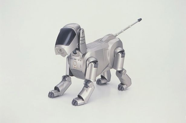 A silver robot dog with a black screen to display facial expressions