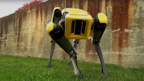 A yellow and black robot on four legs capable of all-terrain navigation.