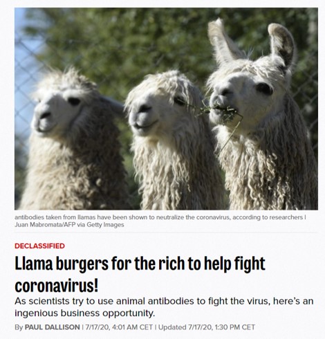 News clipping with the headline of 'Llama burgers for the rich to help fight coronavirus!'