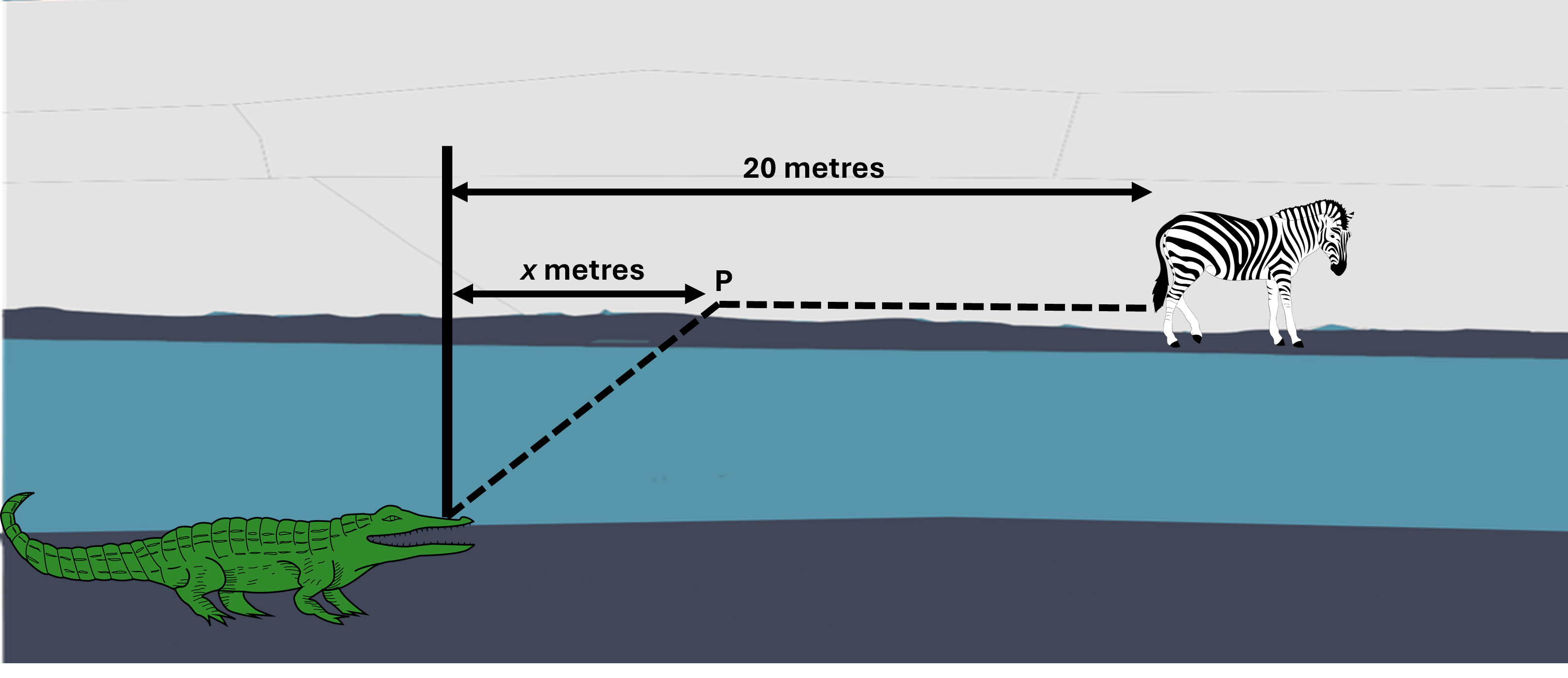 There is a river, on the near bank, to the left, is a crocodile. On the far bank and 20 metres to the right of the crocodile, is a zebra.