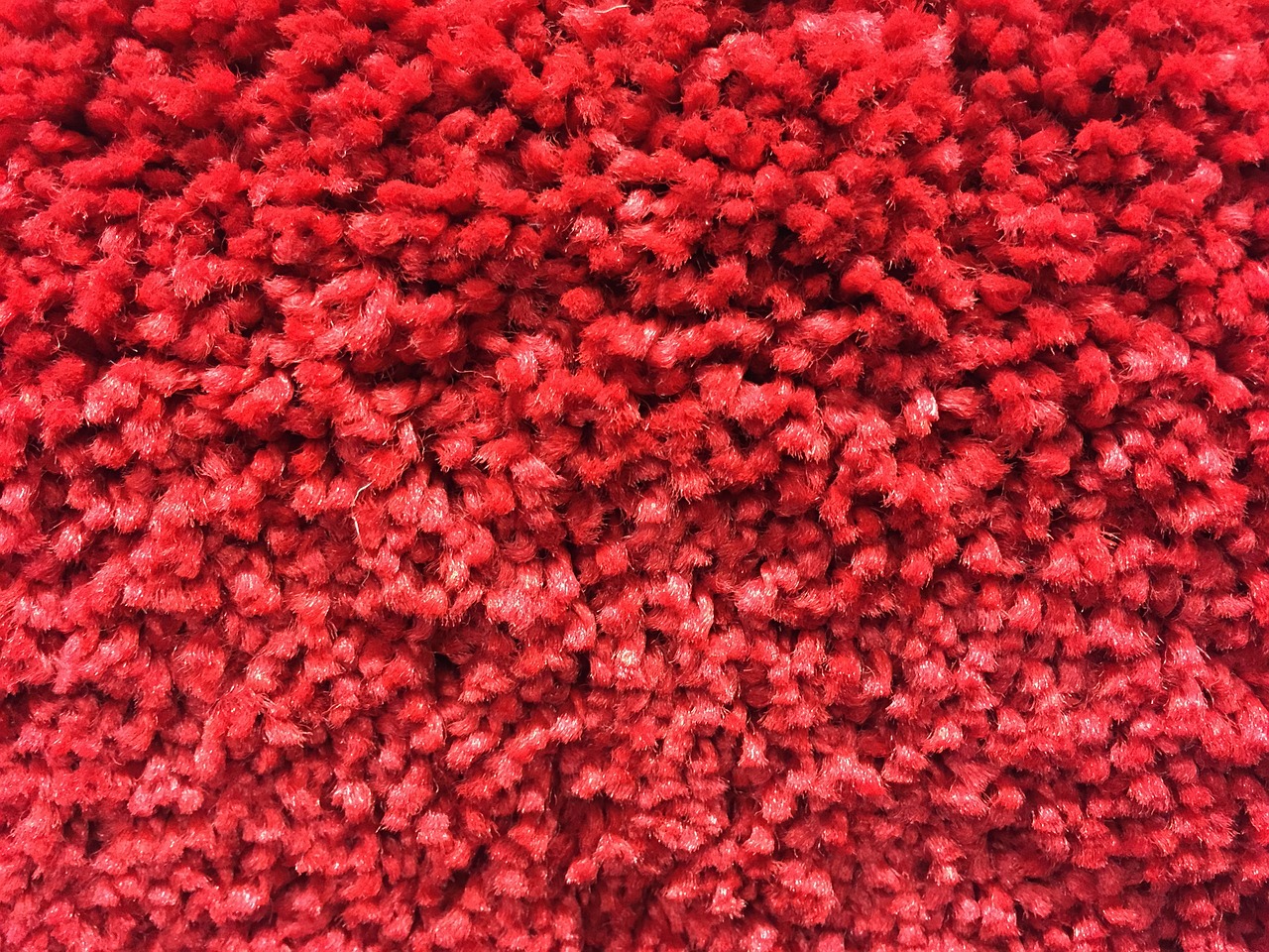 A close-up of the fibres in a carpet